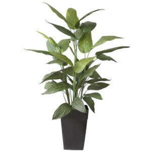 OUTDOOR CANNA PLANTER