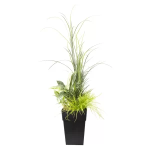DRACEANA FLORAL ARRANGEMENT AND MIXED FOLIAG