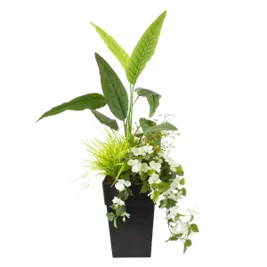WHITE CACTUS FLOWER AND MIXED FOLIAGE