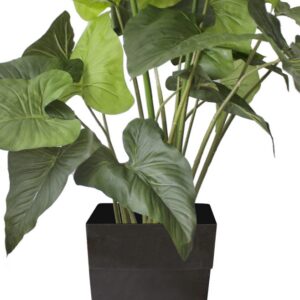 GREEN PLANT, ARTIFICIAL HOSTA