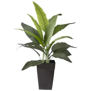 OUTDOOR BIRD OF PARADISE PLANTER
